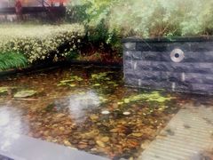 -宁波九龙湖开元度假村