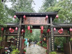 -合肥滨湖国家森林公园