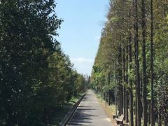 -上海长兴岛郊野公园