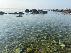 -养马岛旅游度假区