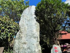 -云南勐巴娜西珍奇园