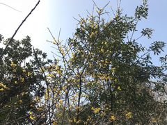 -杭州半山国家森林公园