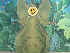 -上海昆虫博物馆