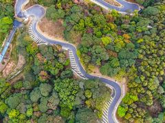 -黄埔油麻山森林公园