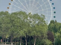 -石家庄市植物园