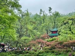 -岳麓山风景名胜区