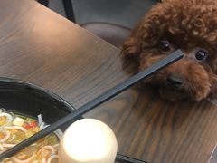 -柳大厨螺蛳粉(人民路总店)