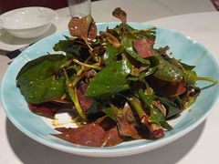 -新概念来凤鱼(璧山店)