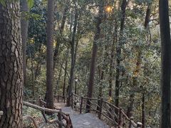 -三门江国家森林公园