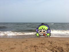 -黄金海岸