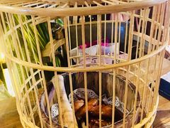 -胡桃里音乐酒馆(曲江店)