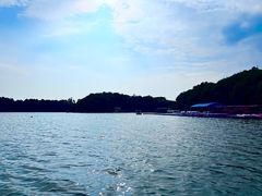 -上海海湾国家森林公园