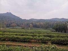 -北高峰