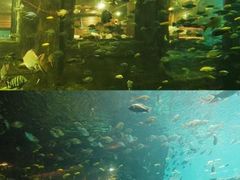 -长鹿旅游休博园