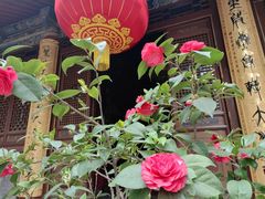 -罔极寺