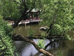 -同济大学本部学苑饮食广场