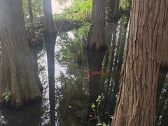 -东湖落雁景区