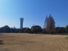 -上海滨江森林公园