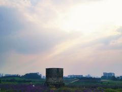 -光明小镇欢乐田园