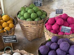 -大象粑粑造纸公园