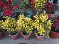 -中央革命根据地历史博物馆