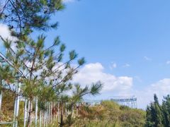 -磐安舞龙峡景区