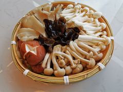 菌菇拼盘-菌子鲜汤野生菌锅