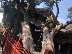 -晋祠公园