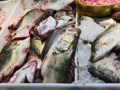 -岳各庄批发市场(西四环中路店)