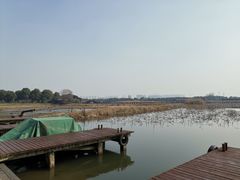-荷塘月色湿地公园·向阳花洲