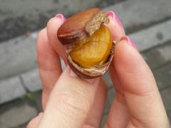 android_upload_pic-阿男野栗王(金门路店)