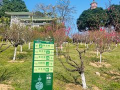 -广州莲花山旅游区