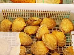 -莆鑫海鲜城(浏河店)
