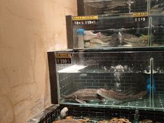 -衢农会·衢州菜·宴请(国际机场店)