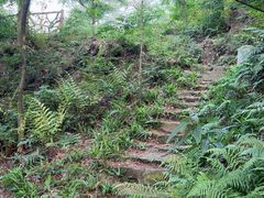 -东湖小天池真人CS彩弹野战基地