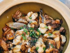 -红星光发煲仔饭(文海店)