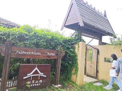-松茸小馆·云南特色餐厅