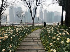 -北外滩滨江绿地