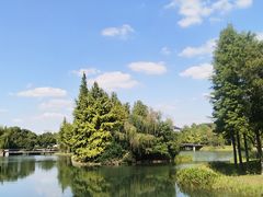 -贡湖湾湿地公园