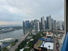 -新加坡瑞士史丹福酒店