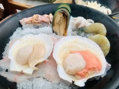 扇贝-丽江庭院之爱在路上(西单店)