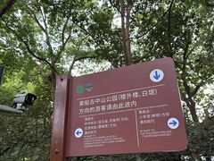 -西湖游船