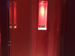 -深圳东部华侨城瀑布酒店