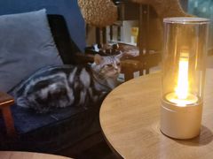 -咖法森林·咖啡  酒吧(天河店)