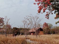 -良渚古城遗址公园