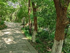 -杭州半山国家森林公园