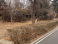 -长春市南湖公园