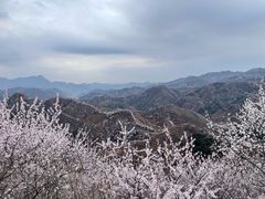 -龙泉峪长城