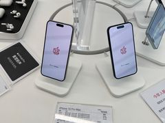 -Apple授权专营店(洪山镇万象城店)