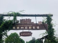 -田园东方蜜桃村的田野营地